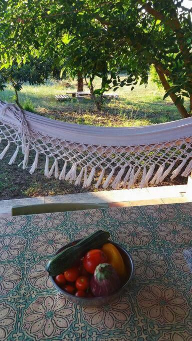 Country House Tra Lago E Mare A Sud Di Roma Villa Campoleone Exterior photo